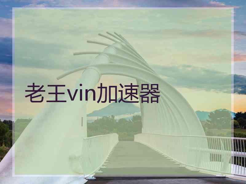 老王vin加速器