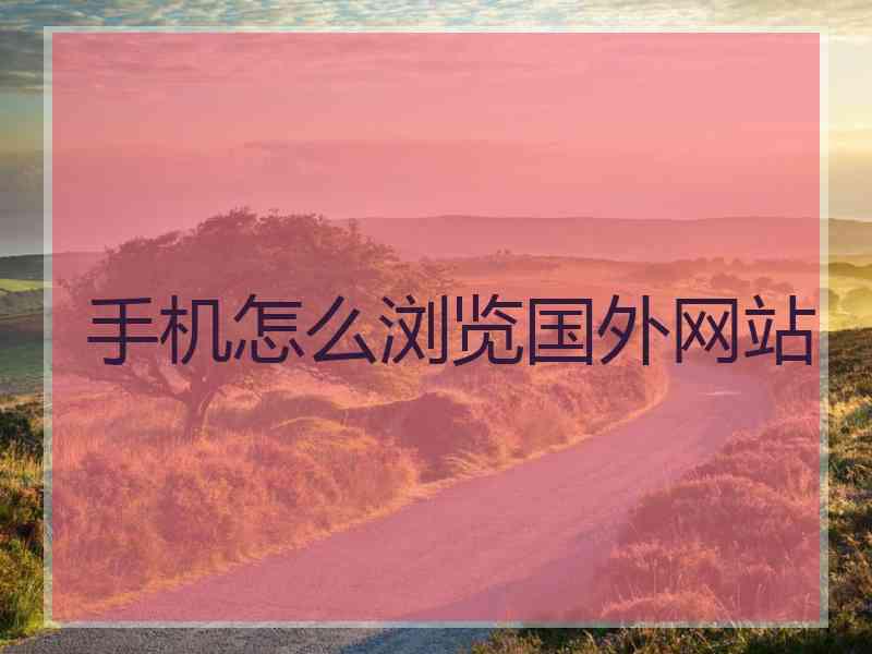 手机怎么浏览国外网站